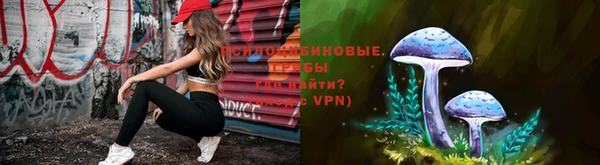 spice Армянск