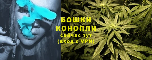 spice Армянск