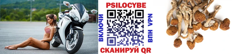 kraken tor  магазин    Анжеро-Судженск  Псилоцибиновые грибы Psilocybine cubensis 