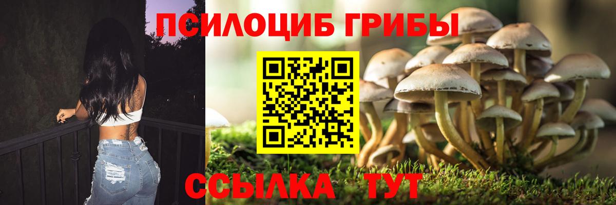 Псилоцибиновые грибы Magic Shrooms  Анжеро-Судженск  хочу наркоту  Галлюциногенные грибы ЛСД 