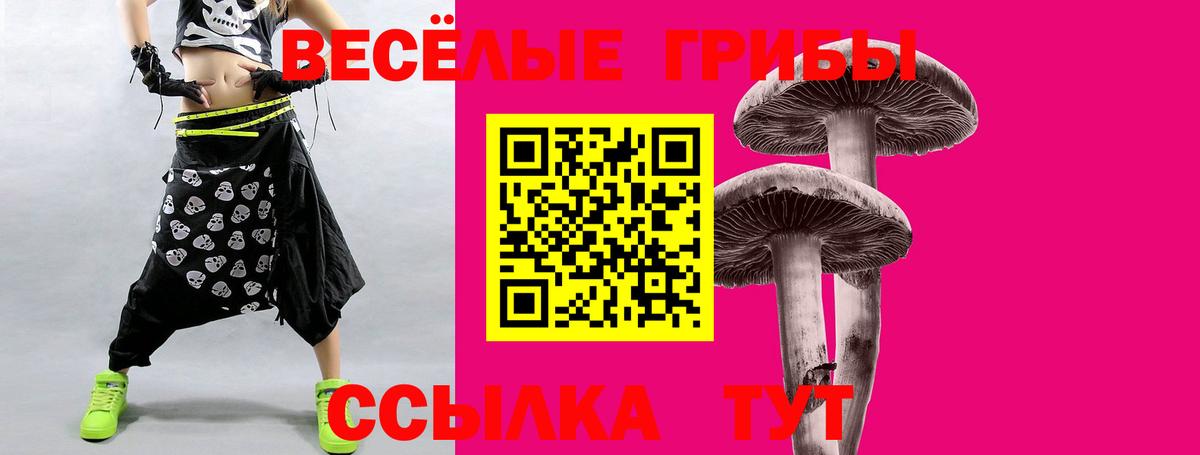 Анжеро-Судженск  Псилоцибиновые грибы мухоморы  Псилоцибиновые грибы Psilocybine cubensis  Вход с VPN 